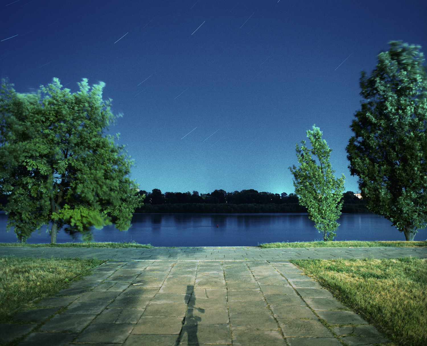 from the series Night Light